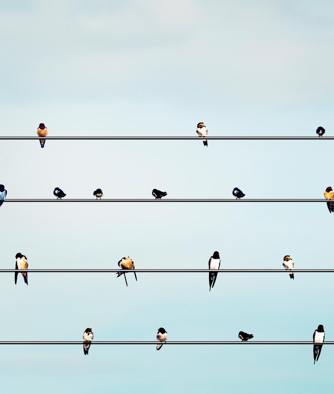 The urgency of a sustainable transition