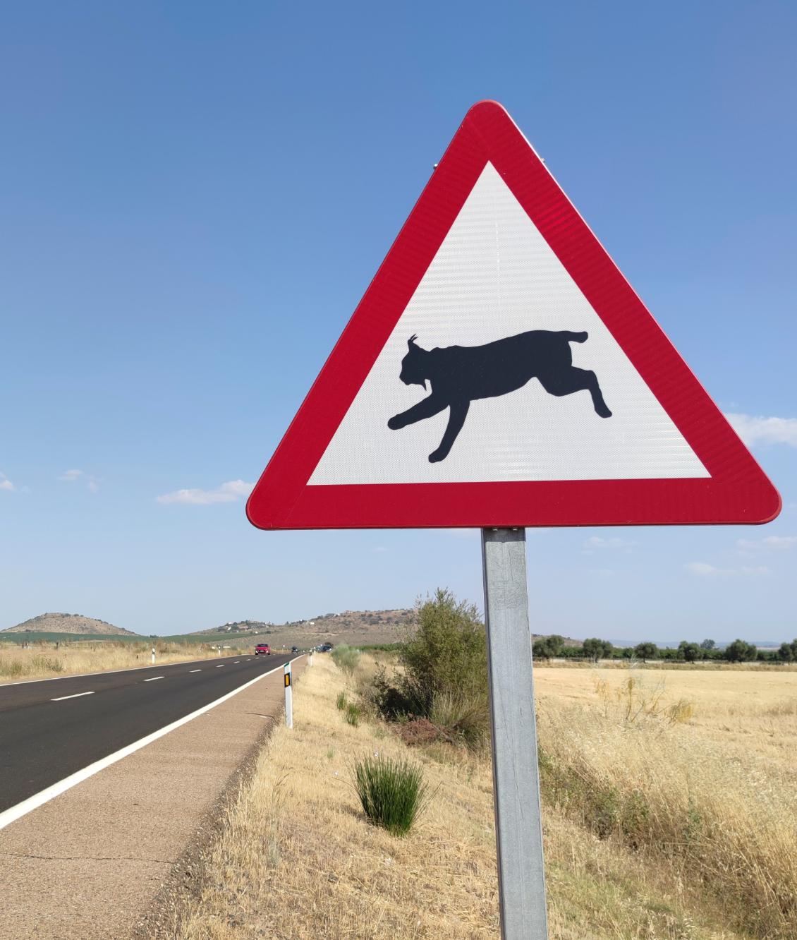 Infrastructure growth as a threat to Biodiversity
