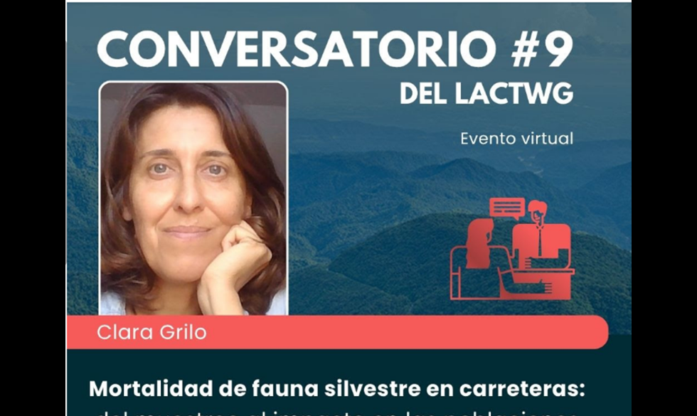 RISKY in Latin America - Virtual meeting with LACTWG