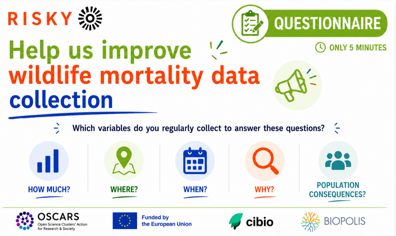 Questionnaires