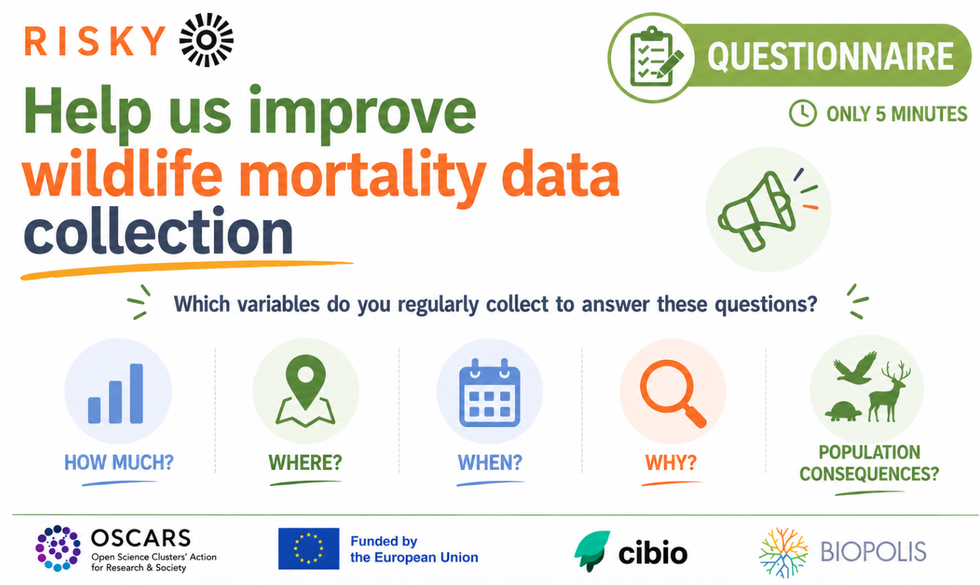 Questionnaires