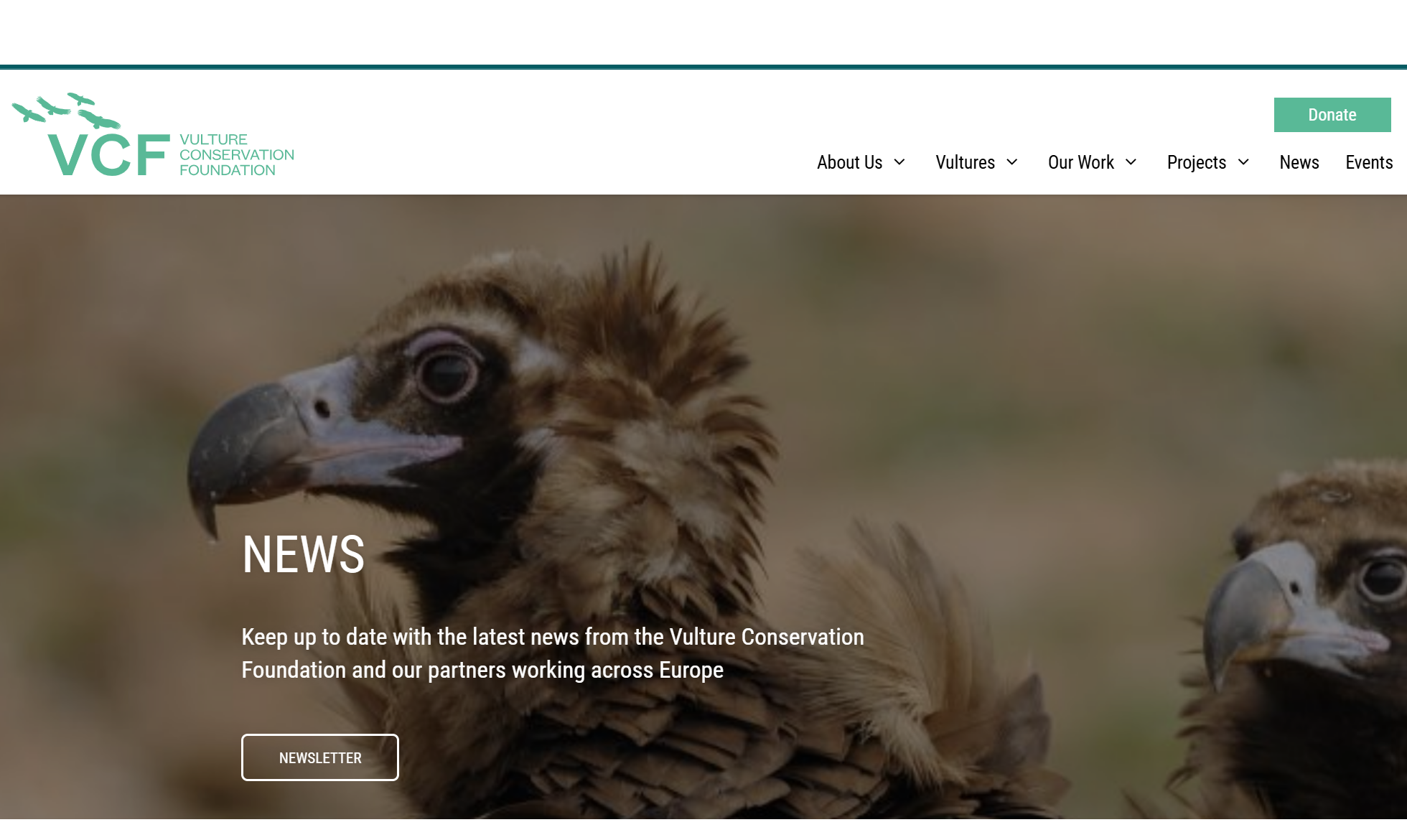 Vulture Conservartion Foundation partner of RISKY