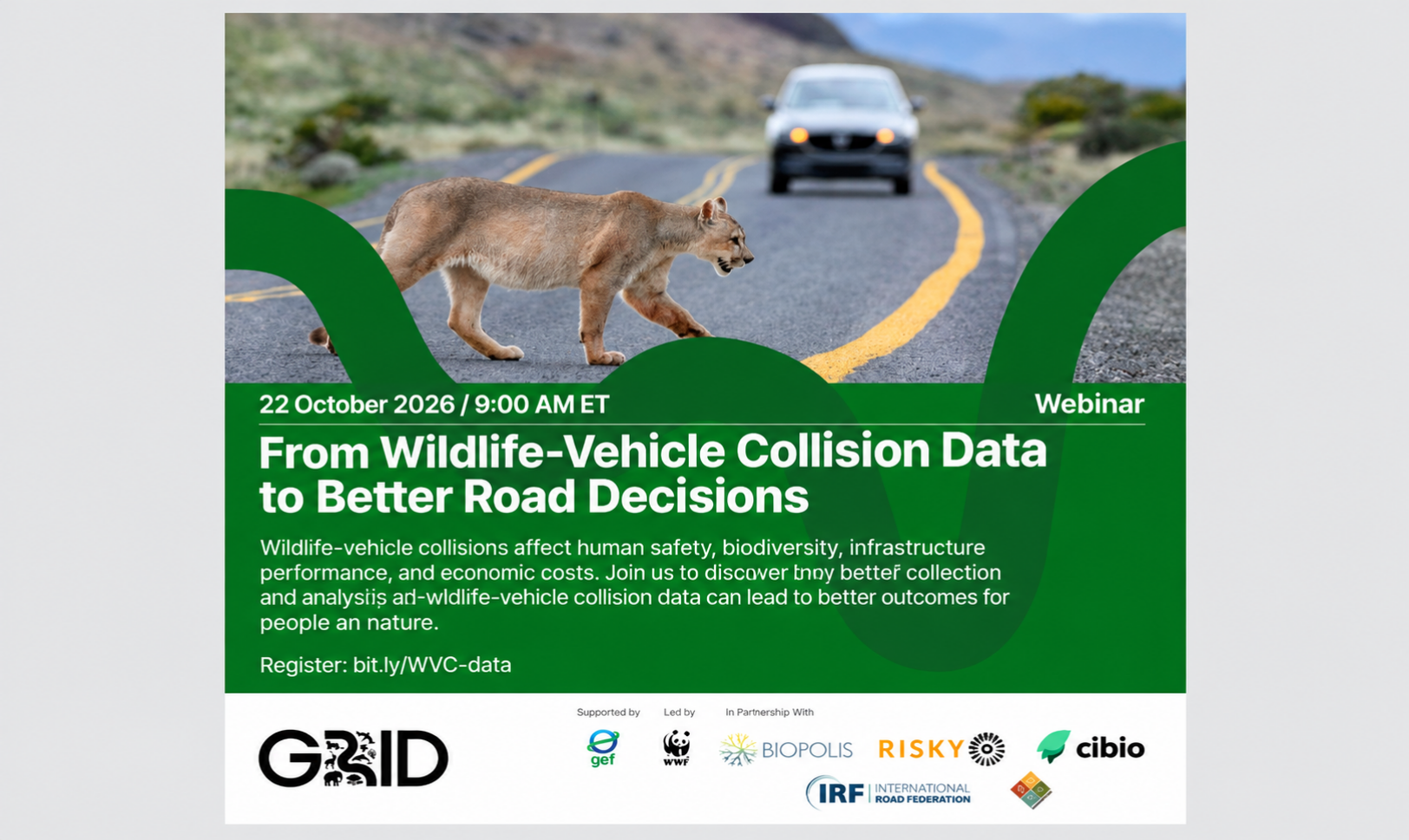 RISKY at the webinar  - From WVC data to better road decisions