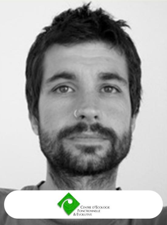 Aurélien Besnard