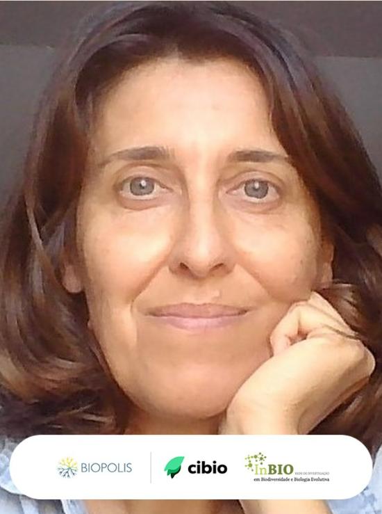 Clara Grilo